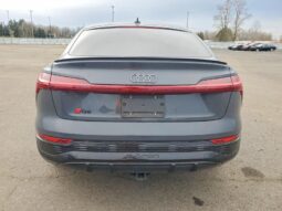 
										2024 Audi Q8 full									