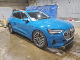 
										2019 Audi E-tron full									