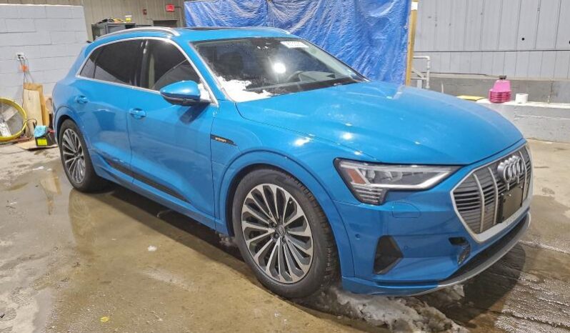 
								2019 Audi E-tron full									