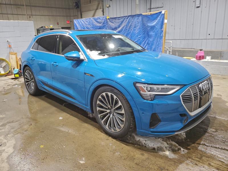 2019 Audi E-tron