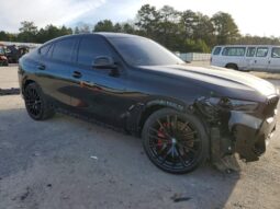 
										2024 BMW X6 full									