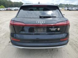 
										2019 Audi E-tron full									