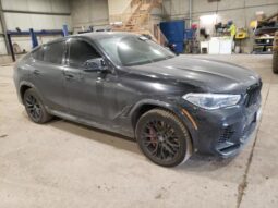 
										2022 BMW X6 full									
