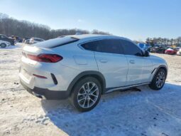 
										2023 BMW X6 full									