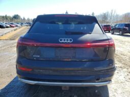 
										2019 Audi E-tron full									