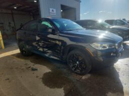 
										2017 BMW X6 full									
