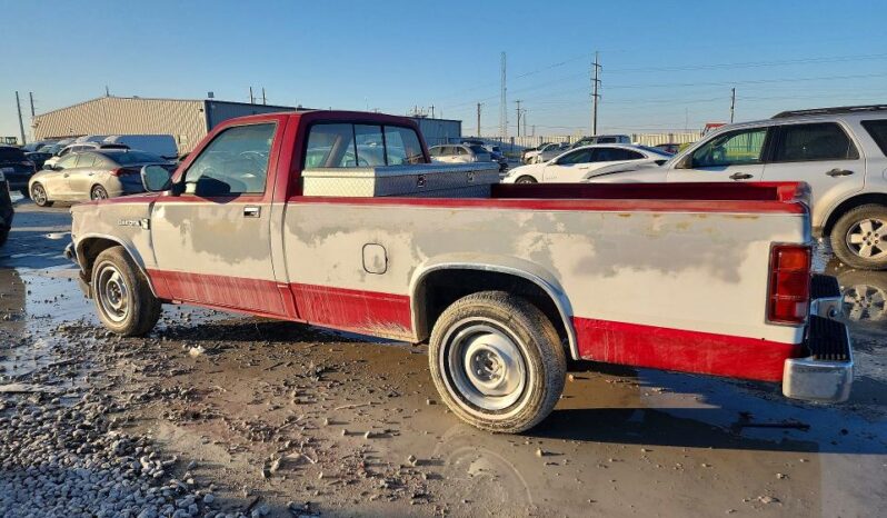 
								1989 Dodge Dakota full									
