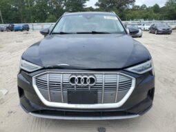 
										2019 Audi E-tron full									