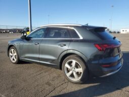 
										2019 Audi E-tron full									
