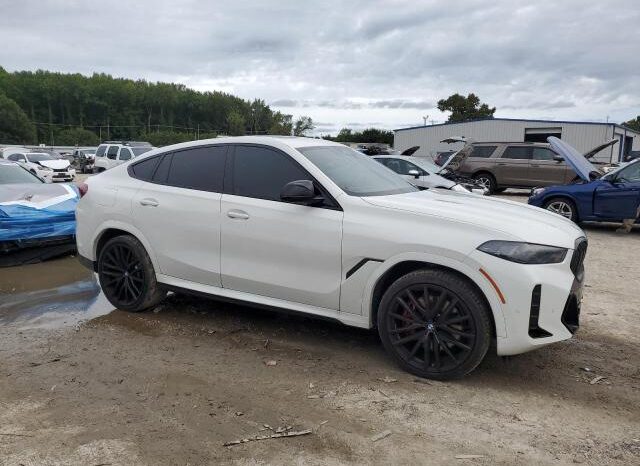 
								2024 BMW X6 full									