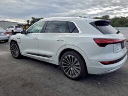 
										2019 Audi E-tron full									