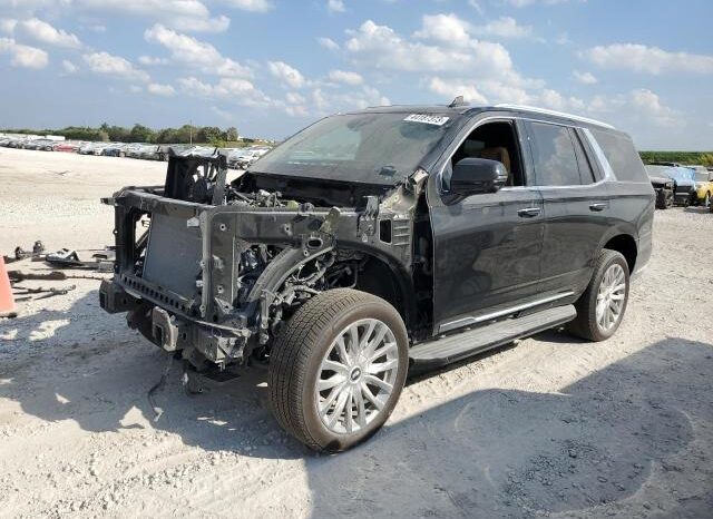 
								2022 Cadillac Escalade full									