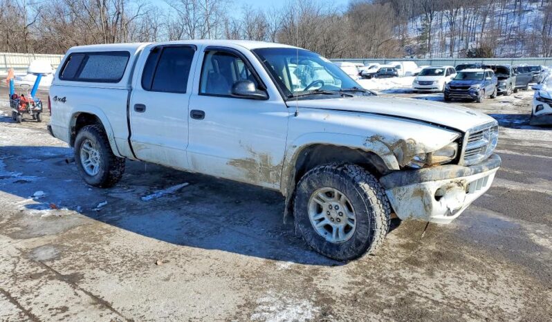 
								2004 Dodge Dakota full									