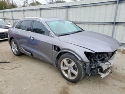
										2019 Audi E-tron full									