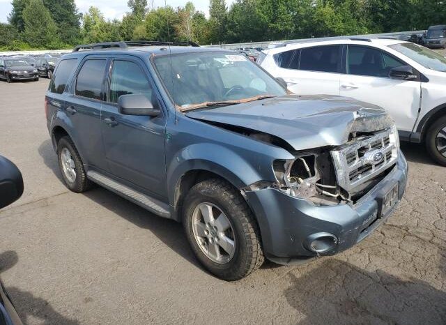 
								2012 Ford Escape xlt full									