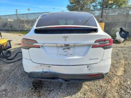 
										2019 Tesla Model x full									