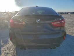 
										2015 BMW X6 full									