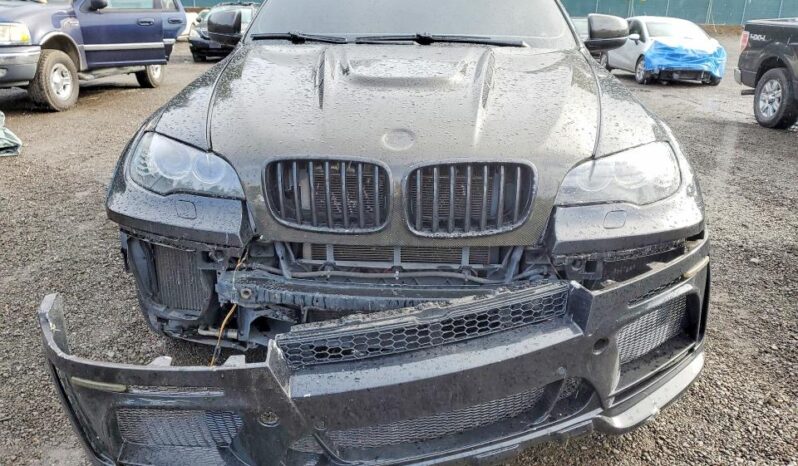 
								2010 BMW X6 full									