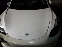 
										2019 Tesla Model 3 full									
