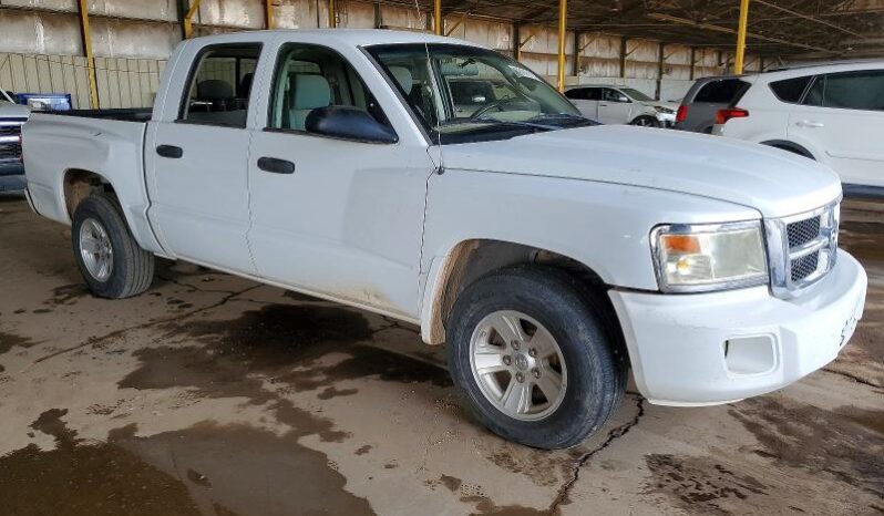 
								2008 Dodge Dakota full									