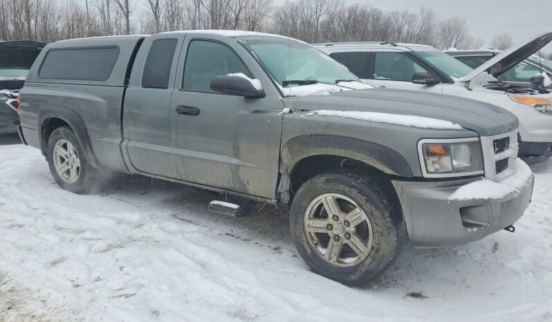
								2011 Dodge Dakota full									