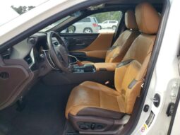 
										2019 Lexus Es 350 full									