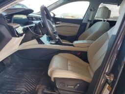 
										2019 Audi E-tron full									