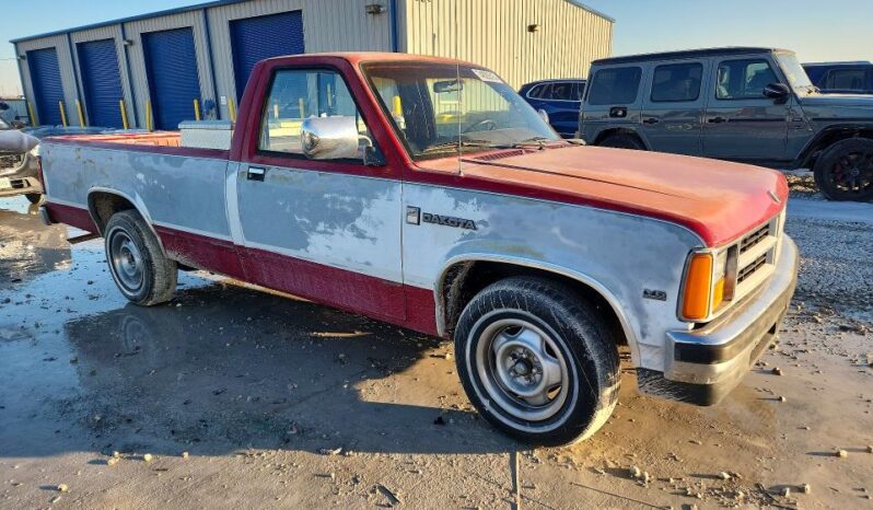 
								1989 Dodge Dakota full									