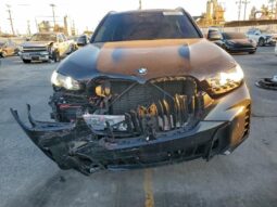 
										2024 BMW X5 full									