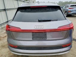 
										2019 Audi E-tron full									