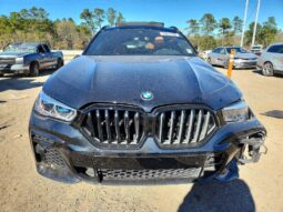 
										2022 BMW X6 full									