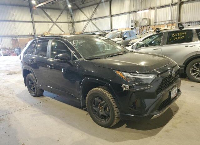 
								2023 Toyota Rav4 full									