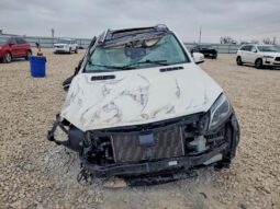 
										2019 Mercedes-benz Gls-klasse full									