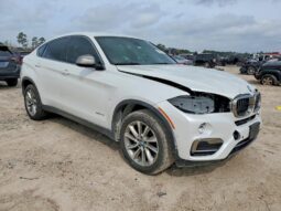 
										2019 BMW X6 full									