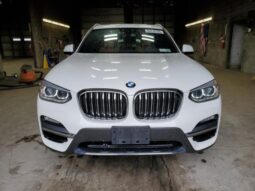 
										2019 BMW X3 full									
