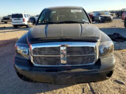 
										2007 Dodge Dakota full									