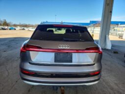 
										2019 Audi E-tron full									