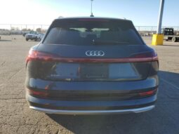 
										2019 Audi E-tron full									