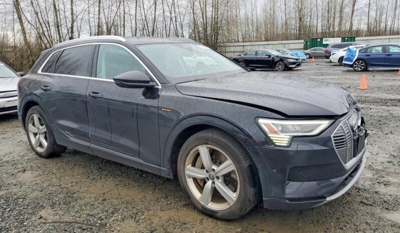
								2019 Audi E-tron full									