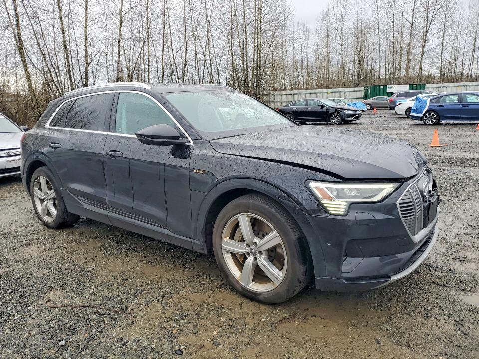2019 Audi E-tron