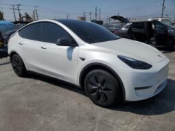 
										2025 Tesla Model y full									