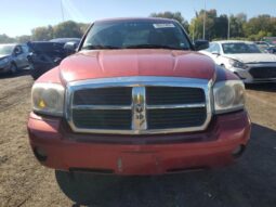 
										2007 Dodge Dakota full									