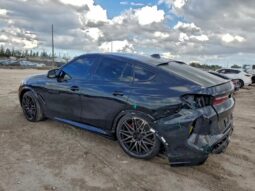 
										2023 BMW X6 full									