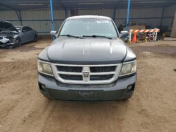 
										2008 Dodge Dakota full									