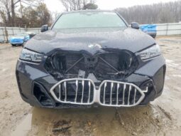
										2025 BMW X6 full									
