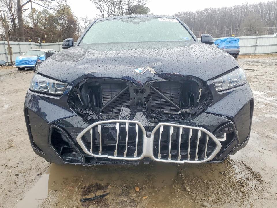 2025 BMW X6