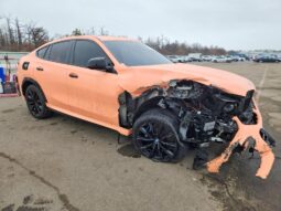 
										2021 BMW X6 full									