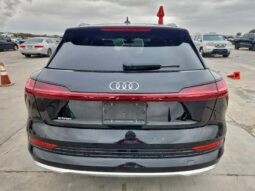 
										2019 Audi E-tron full									
