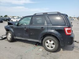 
										2012 Ford Escape xlt full									