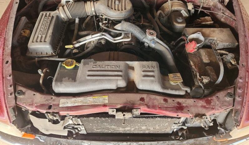 
								2003 Dodge Dakota full									